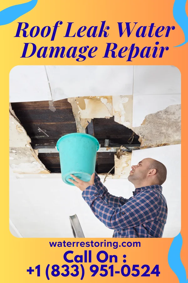 Roof Leak Water Damage Repair in Shelton, WA